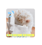 はりはりすたんぷ（個別スタンプ：3）