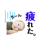 Shochan stamp ⑴（個別スタンプ：26）