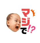 Shochan stamp ⑴（個別スタンプ：32）