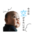 Shochan stamp ⑴（個別スタンプ：36）