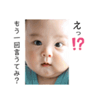 Shochan stamp ⑴（個別スタンプ：37）