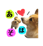 モカとおともだちのラッキー（個別スタンプ：7）