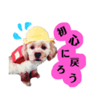モカとおともだちのラッキー（個別スタンプ：22）