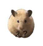 ハムちゃんのすたんぷ（個別スタンプ：2）