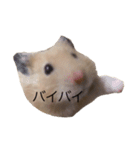 ハムちゃんのすたんぷ（個別スタンプ：11）