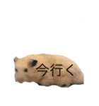 ハムちゃんのすたんぷ（個別スタンプ：14）