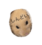 ハムちゃんのすたんぷ（個別スタンプ：15）