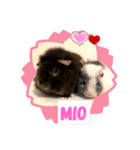 ❤︎ふくねちゃん❤︎（個別スタンプ：1）