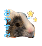 ❤︎ふくねちゃん❤︎（個別スタンプ：3）