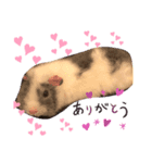 ❤︎ふくねちゃん❤︎（個別スタンプ：4）