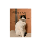 冬のまるのスタンプ（個別スタンプ：18）