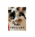 冬のまるのスタンプ（個別スタンプ：29）