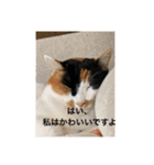 冬のまるのスタンプ（個別スタンプ：32）