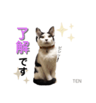 シロクロ  テンちゃん（個別スタンプ：6）