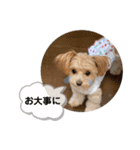 くうめる日常スタンプ（個別スタンプ：19）