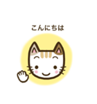 毎日スタンプ【ねこ】（個別スタンプ：2）