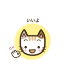 毎日スタンプ【ねこ】（個別スタンプ：4）