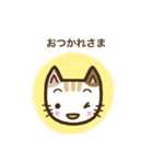 毎日スタンプ【ねこ】（個別スタンプ：5）