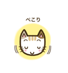 毎日スタンプ【ねこ】（個別スタンプ：6）