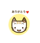 毎日スタンプ【ねこ】（個別スタンプ：10）