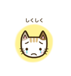 毎日スタンプ【ねこ】（個別スタンプ：24）