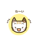 毎日スタンプ【ねこ】（個別スタンプ：27）