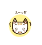 毎日スタンプ【ねこ】（個別スタンプ：31）