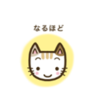 毎日スタンプ【ねこ】（個別スタンプ：35）