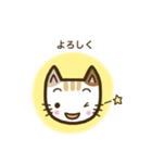 毎日スタンプ【ねこ】（個別スタンプ：37）