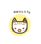 毎日スタンプ【ねこ】（個別スタンプ：40）