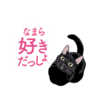 ふるさとの言葉で愛を告げる猫（個別スタンプ：1）