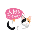 ふるさとの言葉で愛を告げる猫（個別スタンプ：2）