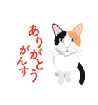 ふるさとの言葉で愛を告げる猫（個別スタンプ：3）