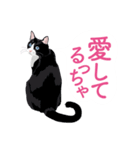 ふるさとの言葉で愛を告げる猫（個別スタンプ：8）