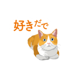 ふるさとの言葉で愛を告げる猫（個別スタンプ：11）