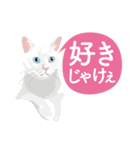 ふるさとの言葉で愛を告げる猫（個別スタンプ：13）