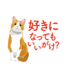 ふるさとの言葉で愛を告げる猫（個別スタンプ：14）