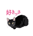 ふるさとの言葉で愛を告げる猫（個別スタンプ：16）