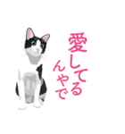 ふるさとの言葉で愛を告げる猫（個別スタンプ：20）