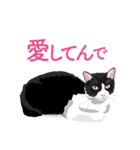 ふるさとの言葉で愛を告げる猫（個別スタンプ：22）