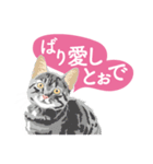 ふるさとの言葉で愛を告げる猫（個別スタンプ：23）