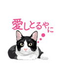 ふるさとの言葉で愛を告げる猫（個別スタンプ：29）