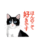 ふるさとの言葉で愛を告げる猫（個別スタンプ：31）