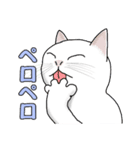 猫の生活とか行動（個別スタンプ：1）