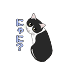 猫の生活とか行動（個別スタンプ：2）