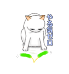 猫の生活とか行動（個別スタンプ：6）