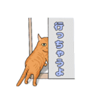 猫の生活とか行動（個別スタンプ：8）