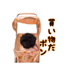 トイプードル ボッピ家語録2（個別スタンプ：23）