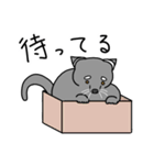 あかちゃんビントロング（個別スタンプ：17）