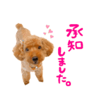りゅっくちゃんスタンプ（個別スタンプ：4）